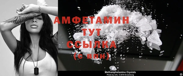 шишки Инта