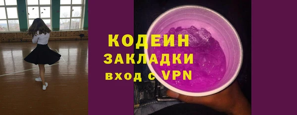 гидра Арсеньев