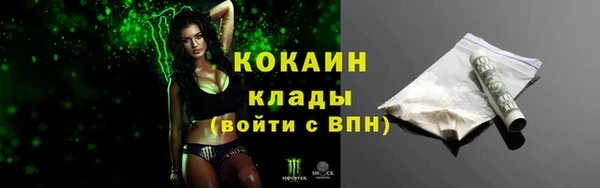гидра Арсеньев