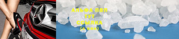 гидра Арсеньев