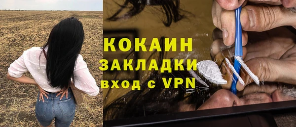 гидра Арсеньев